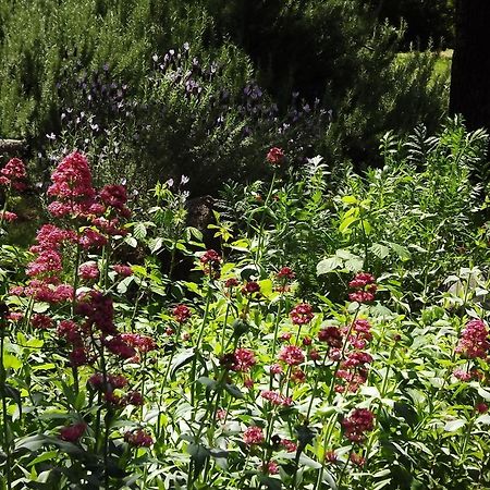 Backyard Garden Oasis Bed & Breakfast Middletown Exterior photo