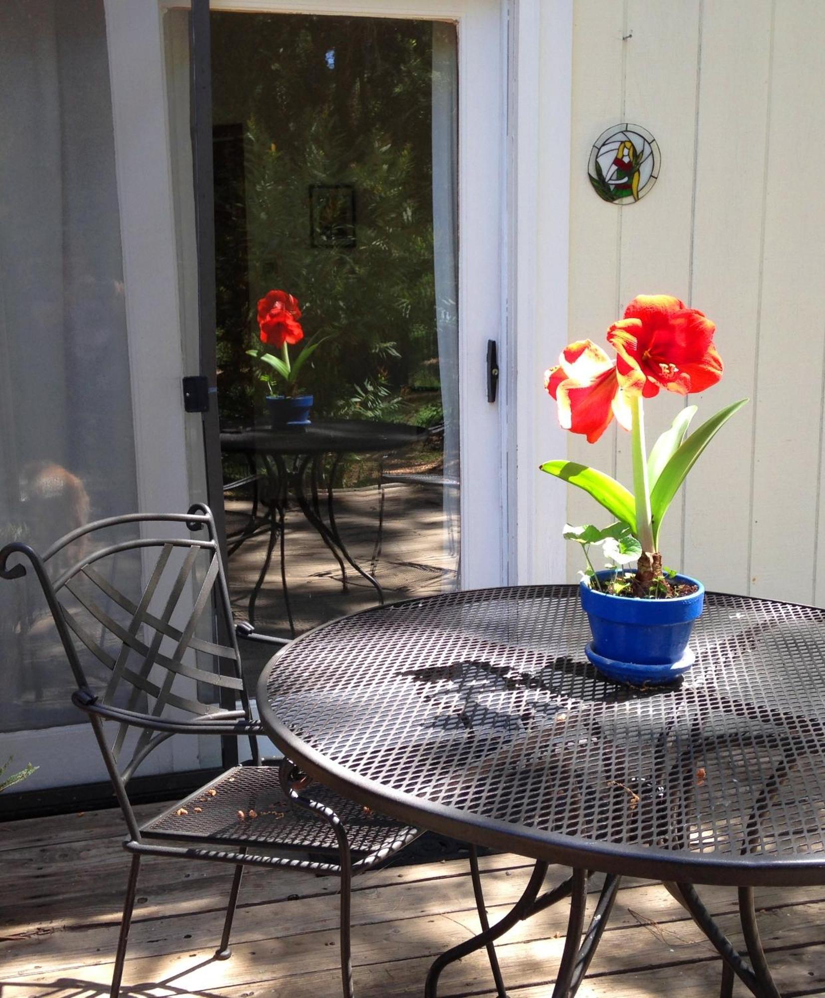 Backyard Garden Oasis Bed & Breakfast Middletown Exterior photo