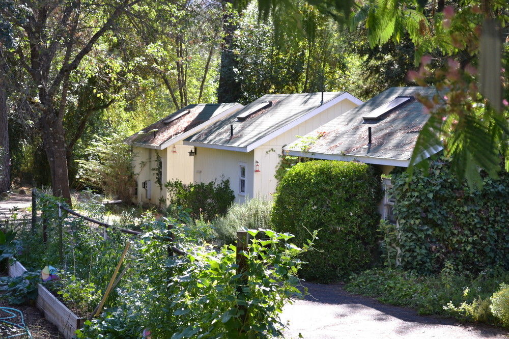 Backyard Garden Oasis Bed & Breakfast Middletown Exterior photo
