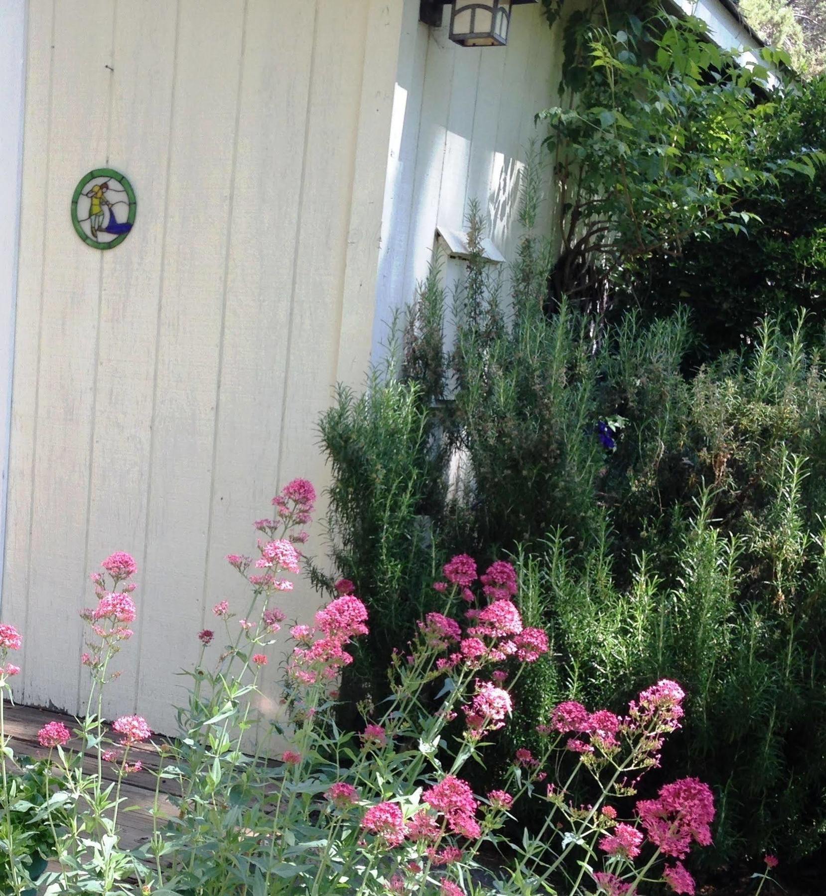 Backyard Garden Oasis Bed & Breakfast Middletown Exterior photo